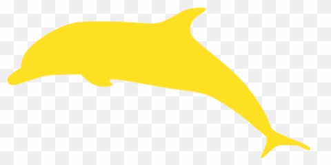 Dolphin 03 Icons Images Png Transparent - Common Bottlenose