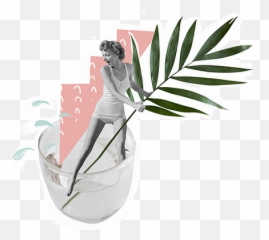 Vancouver Island Mamau0027s Sippy Cup - Palm Leaf Png
