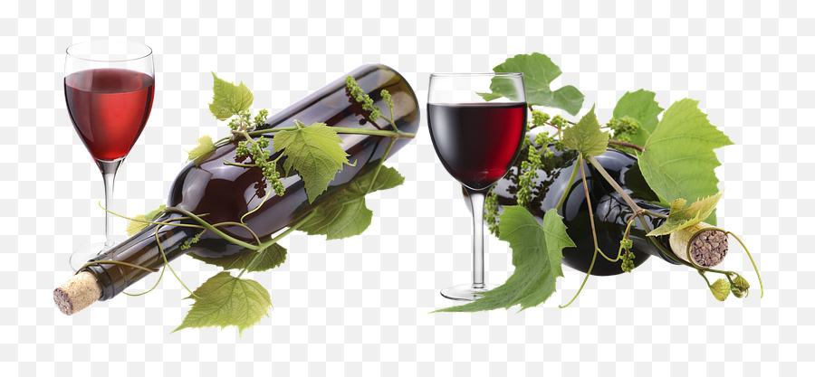 100 Free A Glass Of Wine U0026 Images Png Photoshop Icon