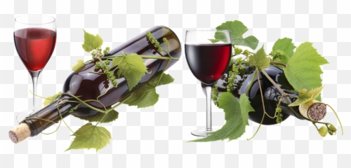 100 Free A Glass Of Wine U0026 Images Png