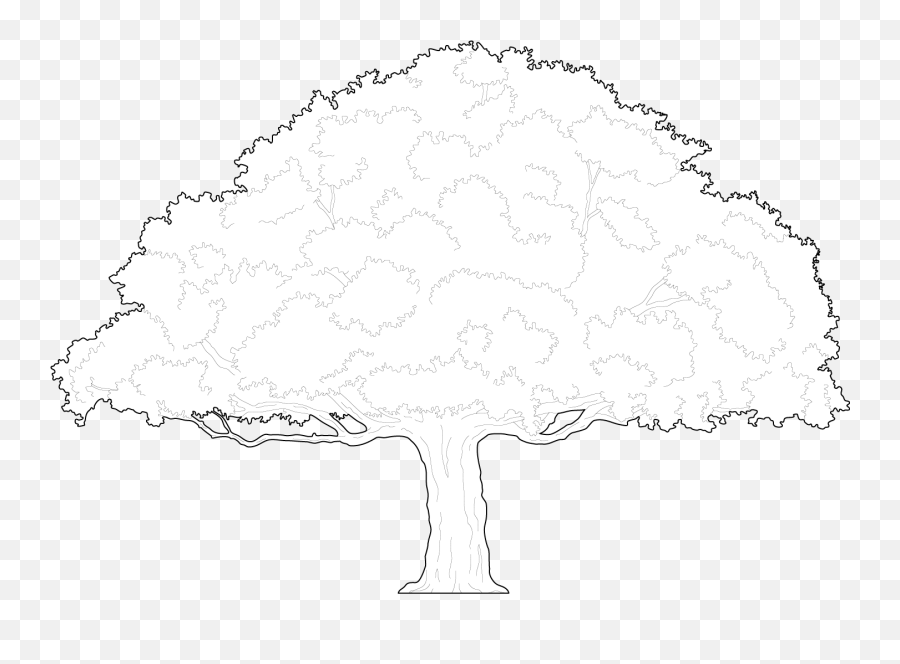 An Old Weeping Willow Tree Cad Blocks - Free Dwg U0026 Cad Block Language Png,Willow Tree Icon