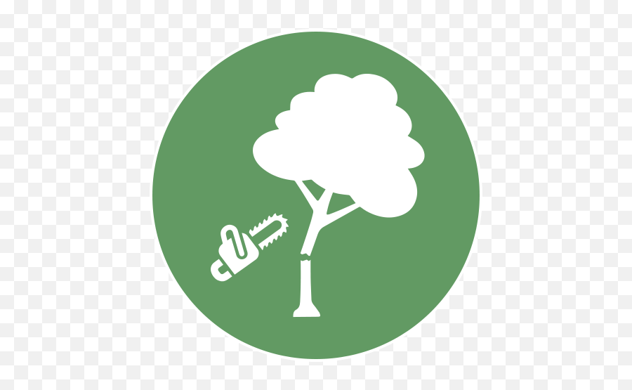 Ccw Work - Christ Church Waterfall Tree Cutting Icon Png,Tree Removal Icon