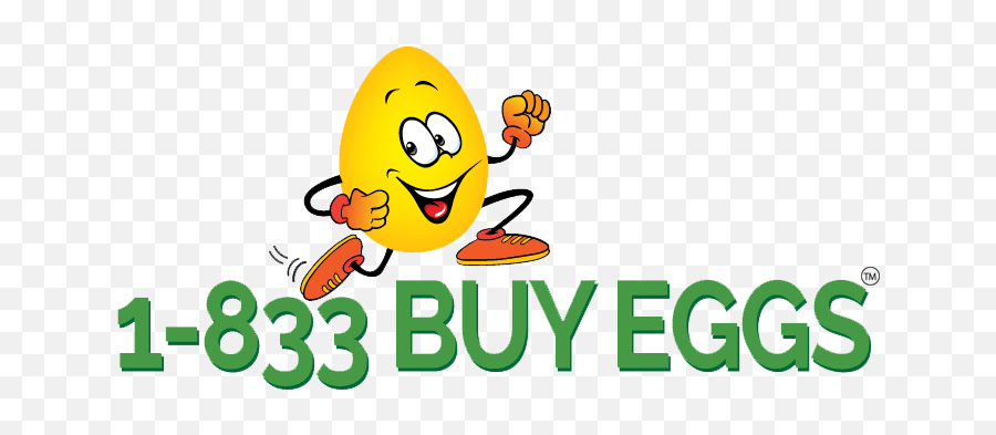 Extra Large White Loose Offers High - Quality Eggs 1833 Png,Extra Large Icon