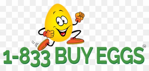 Extra Large White Loose Offers High - Quality Eggs 1833 png