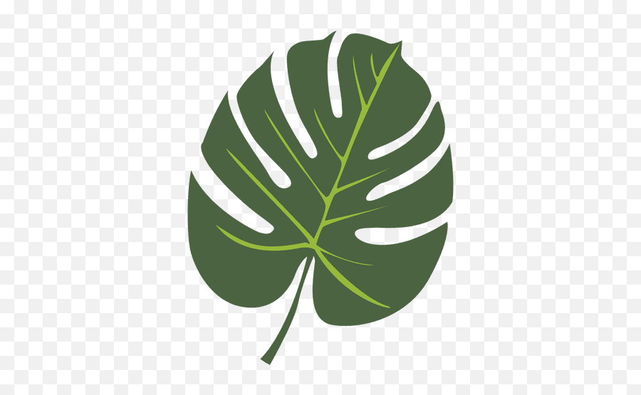 Tropical Palm Leaf Illustration - Tropical Leaf Icon Png,Tropical Leaf Png