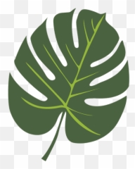 Free transparent tropical leaf png images, page 1 