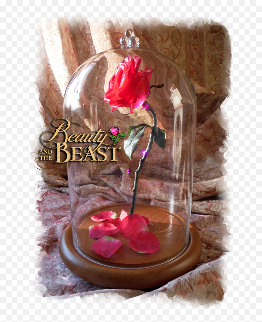Download Free Beauty And The Beast Rose In Glass - Beauty Artificial Flower Png,Beauty And The Beast Rose Png