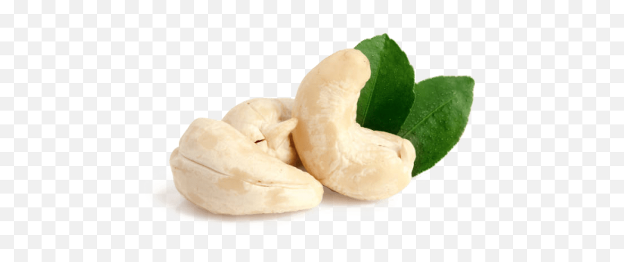 Cashew Nuts - Noix De Cajou Png,Cashew Png