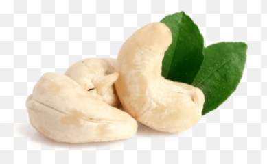 Cashew Nuts - Noix De Cajou Png,Cashew Png