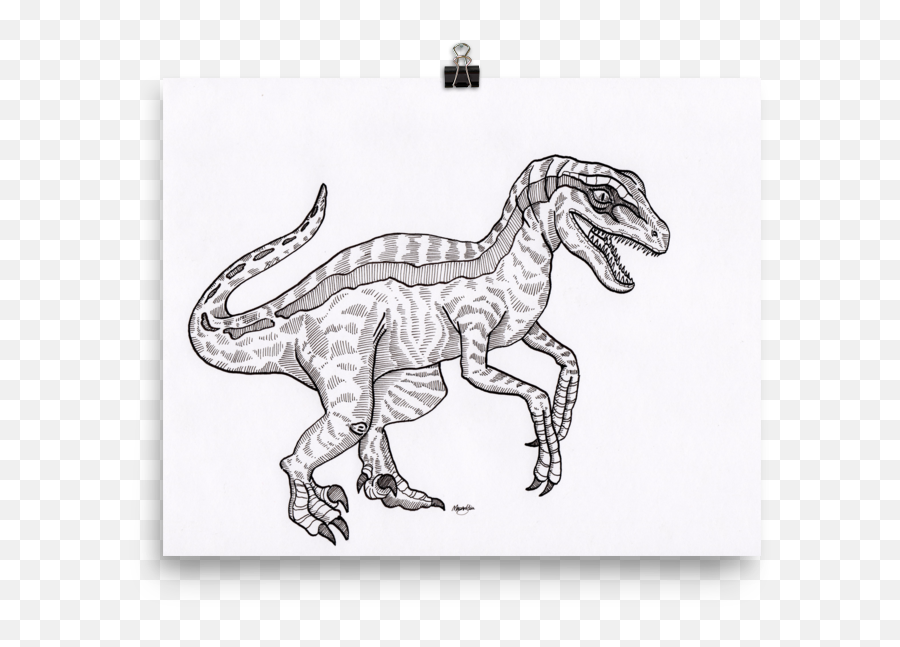 Velociraptor Art Print U2014 Megan Yiu Illustration - Velociraptor Print Png,Velociraptor Png