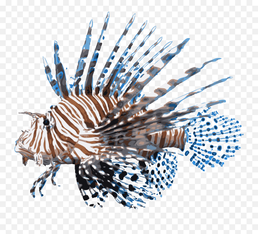 Lionfish Png Images Collection For Free Download Llumaccat Fish Transparent