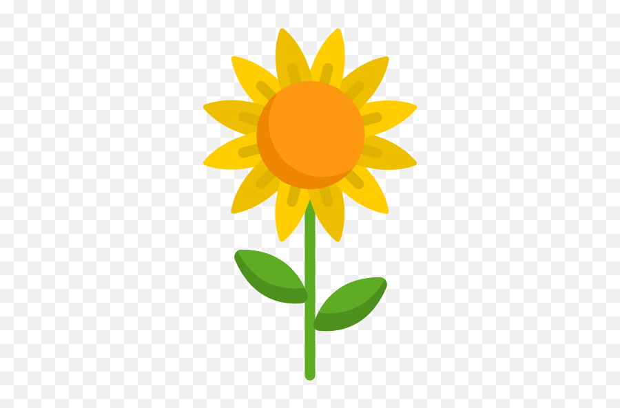 Sunflower - Free Nature Icons Solar Collector Angle Png,Sun Flower Png