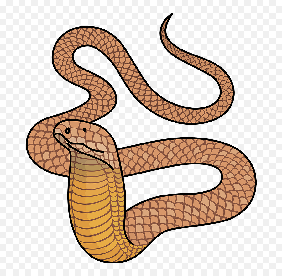 King Cobra Clipart Free Download Creazilla - Cobra Clipart Png,King Cobra Png