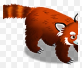 Red Panda Zoocraft Wiki Fandom - Zoo Craft Red Panda Png,Red Panda Transparent