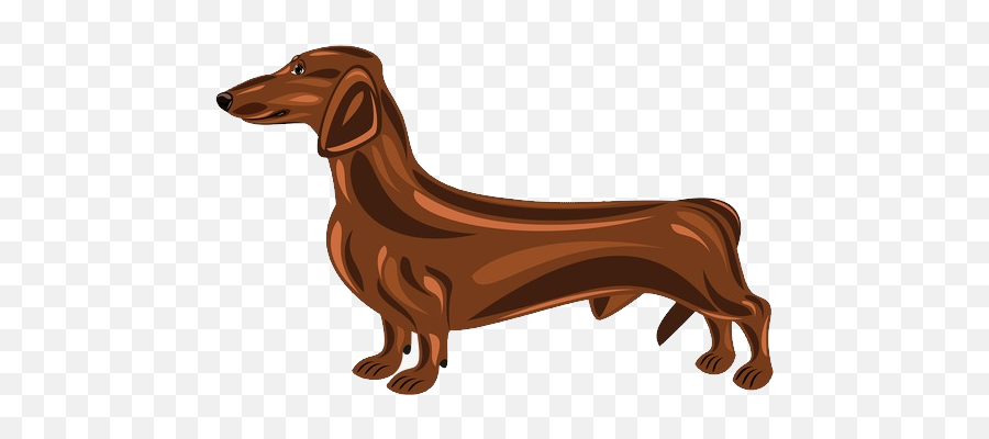 Teckel Fond Png Image Play - Dachshund,Dachshund Png