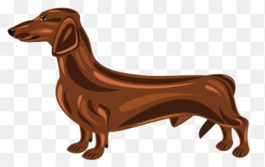 Teckel Fond Png Image Play - Dachshund,Dachshund Png
