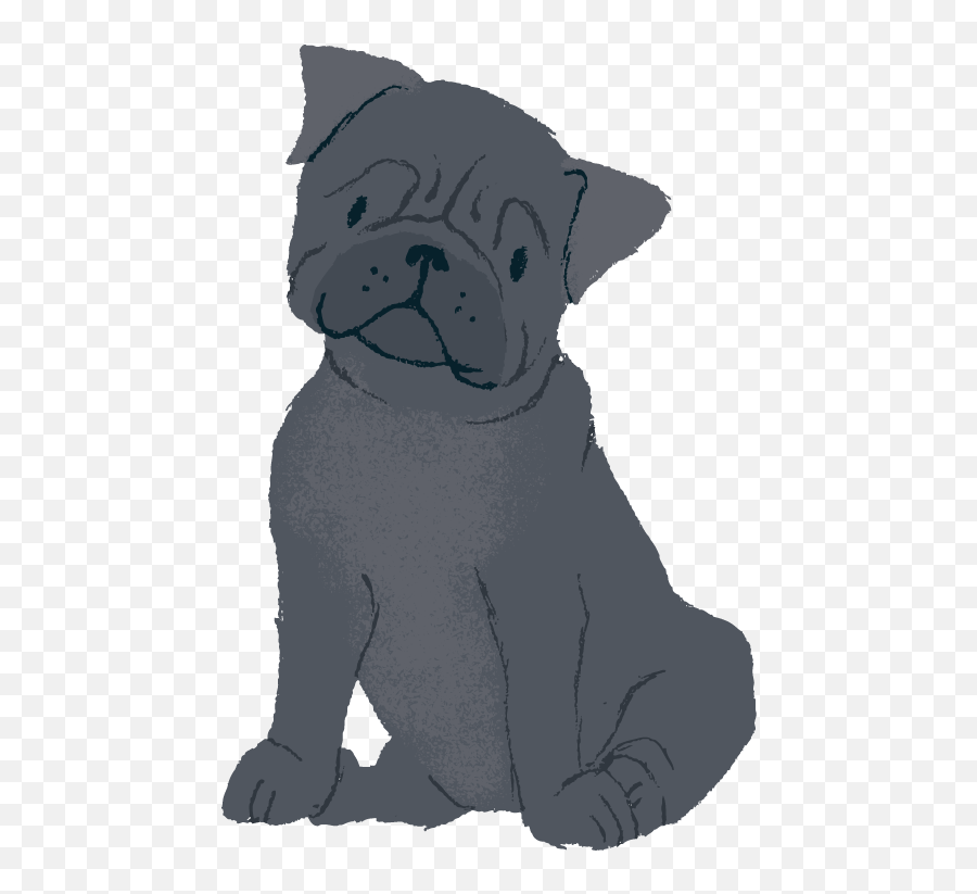 Black Pug Png - Pug Transparent Cartoon Jingfm Pug,Pug Png