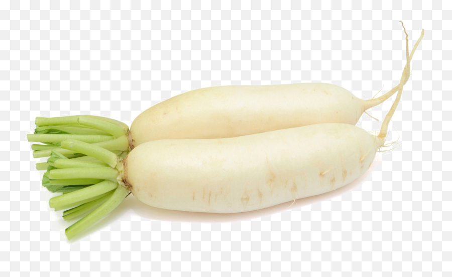 Mooli Png File Mart - Radish,Radish Png