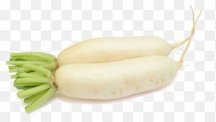 Mooli Png File Mart - Radish,Radish Png