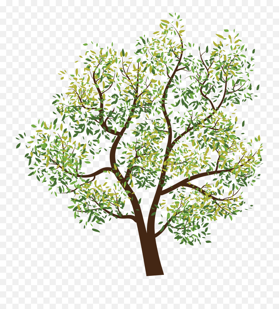 Download Tree Png Image For Free - Tree Clipart Transparent Background,Trees Background Png