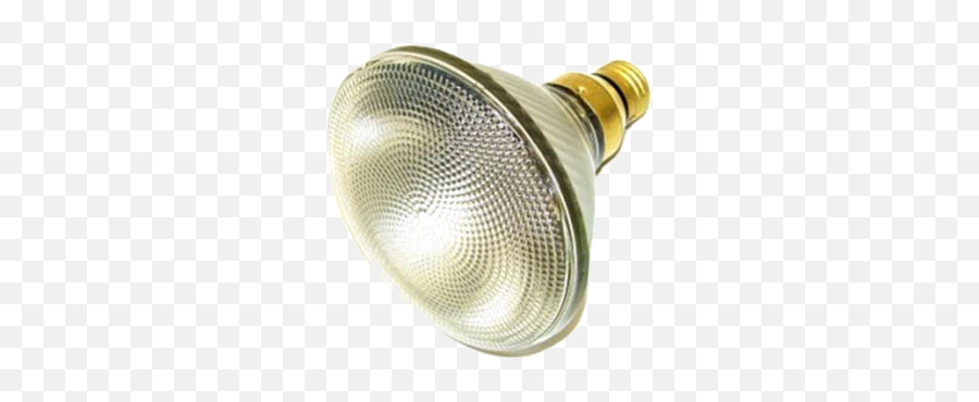 Spotlight Bulbs Outdoor Ned Stevens - Bulb Spotlight Png,Spot Light Png
