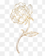 Gold Flower Outline Png - Transparent