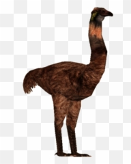 Download Hd Image Giant Tyranachu Zt Library Wiki - Turkey Png,Ostrich Png