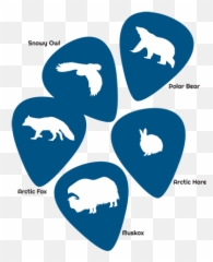 Arctic Guitar Picks U2014 Iq Art U0026 Design - Emblem Png,Guitar Pick Png