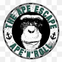 Download Ape Escape Hd Png - Uokplrs Ape Escape,Ape Png