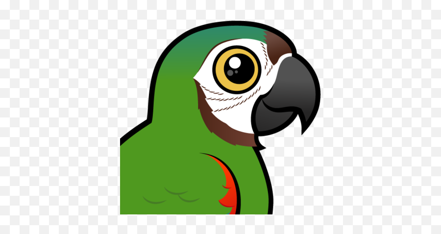 Blue Throated Macaw Cartoon Clip - Blue Macaw Cartoon Png,Macaw Png