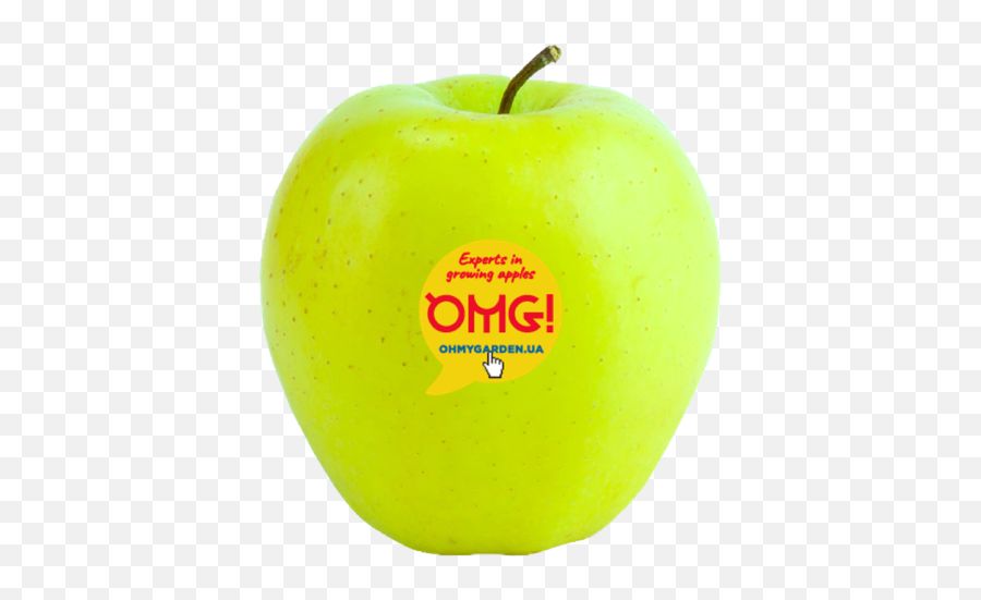 Oh My Garden - Ukranian Apple Orchard Granny Smith Png,Golden Apple Logo