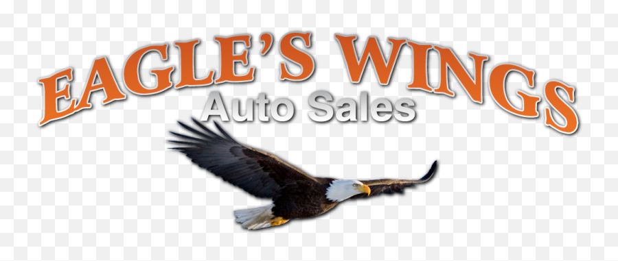 Eagleu0027s Wings Auto Sales U2013 Car Dealer In Hilton Ny - Photo Caption Png,Eagle Wings Png