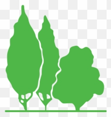 Park Glass - Vertical png