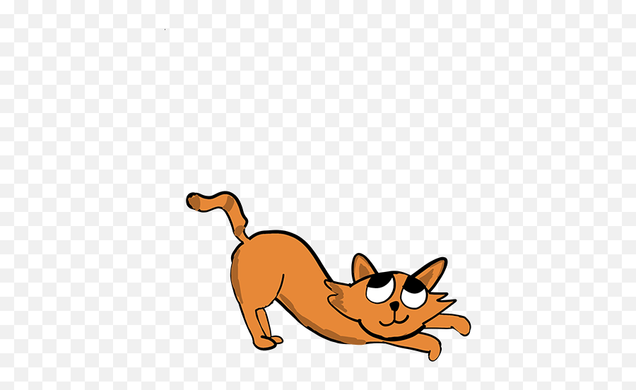 All The Run Png Cat Gif Transparent