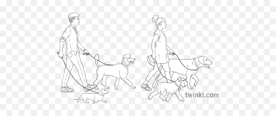 Man And Woman Walking Dogs Animals People Ni Linguistic - Dog Leash Png,People Walking Dog Png