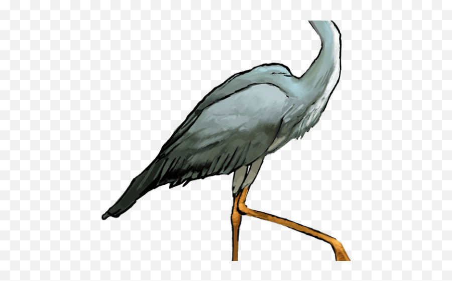 Heron Clipart Crane Bird - Great Blue Heron Clipart Png,Crane Bird Png