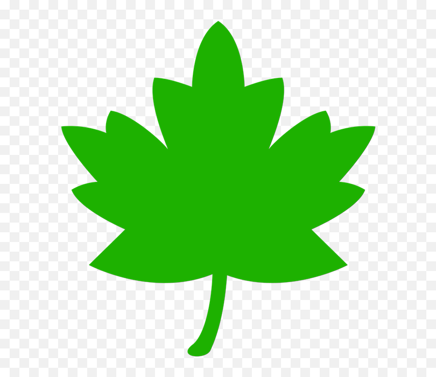 Icon Leaf Green - Leaf Clip Art Png,Maple Leaf Icon