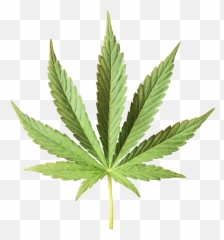 Products - Pure Romance Cbd Melt png
