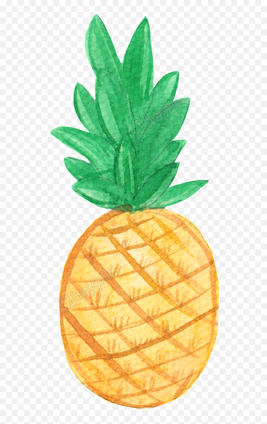Free Clip Art Stock Illustrations - Pineapple Beach Please Quote Png,Pineapple Transparent