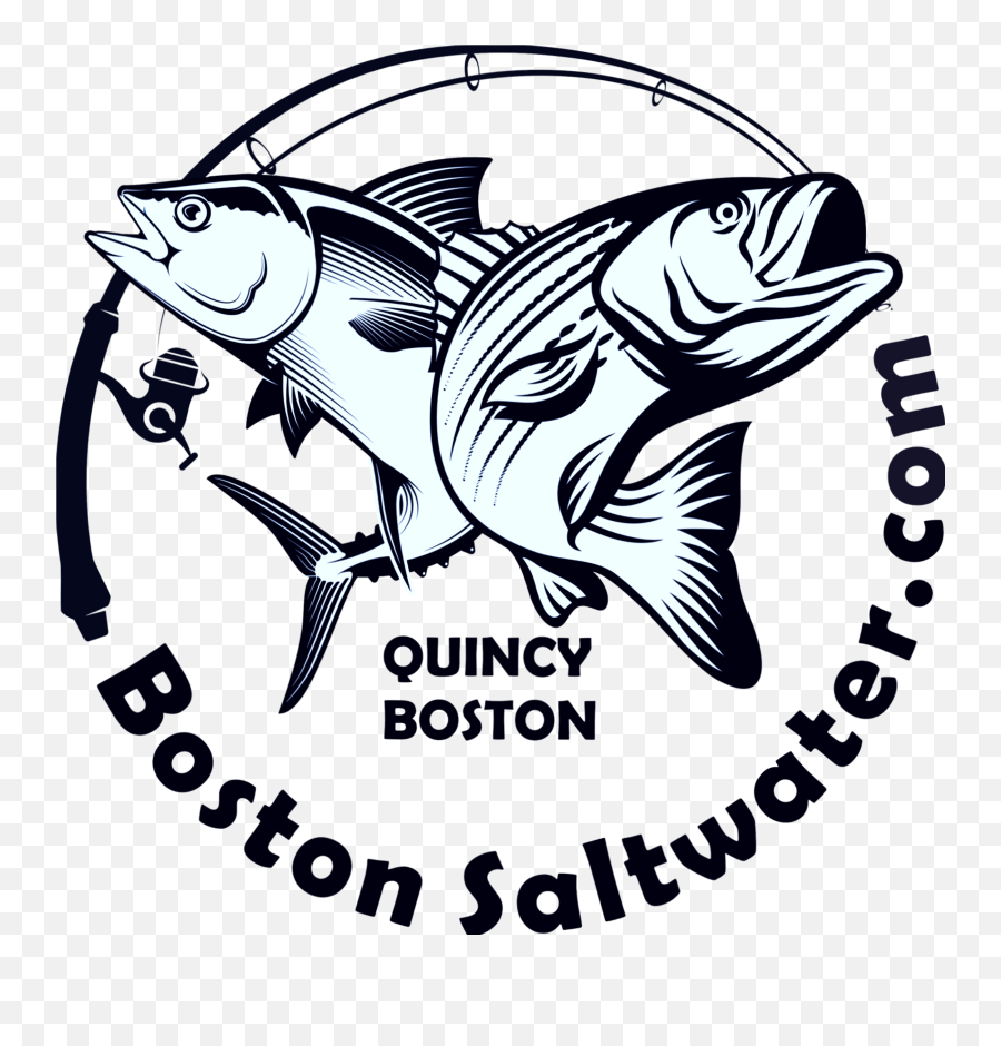 Boston Striped Bass Sos Fishing Charters Llc - Fish Png,Bass Fish Icon