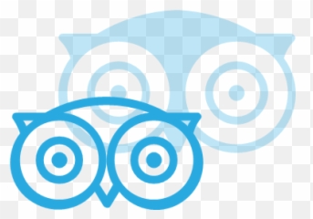 Media Social Tripadvisor Icon Png