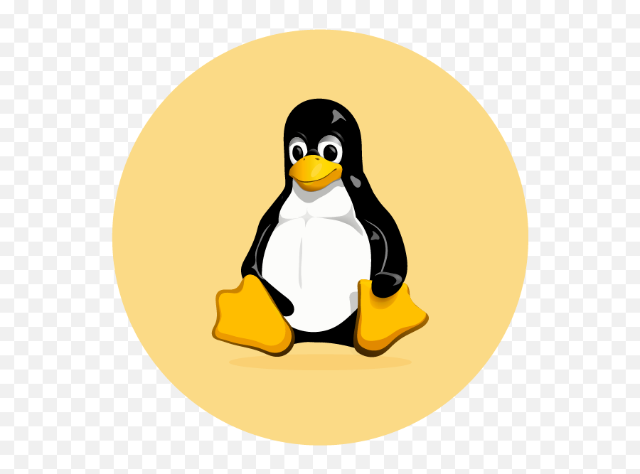 Airserver For Embedded Linux - Tux Linux Png,Angry Birds Desktop Icon