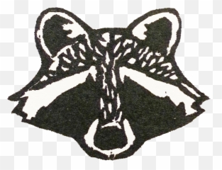 Puccoon Raccoon - Automotive Decal png