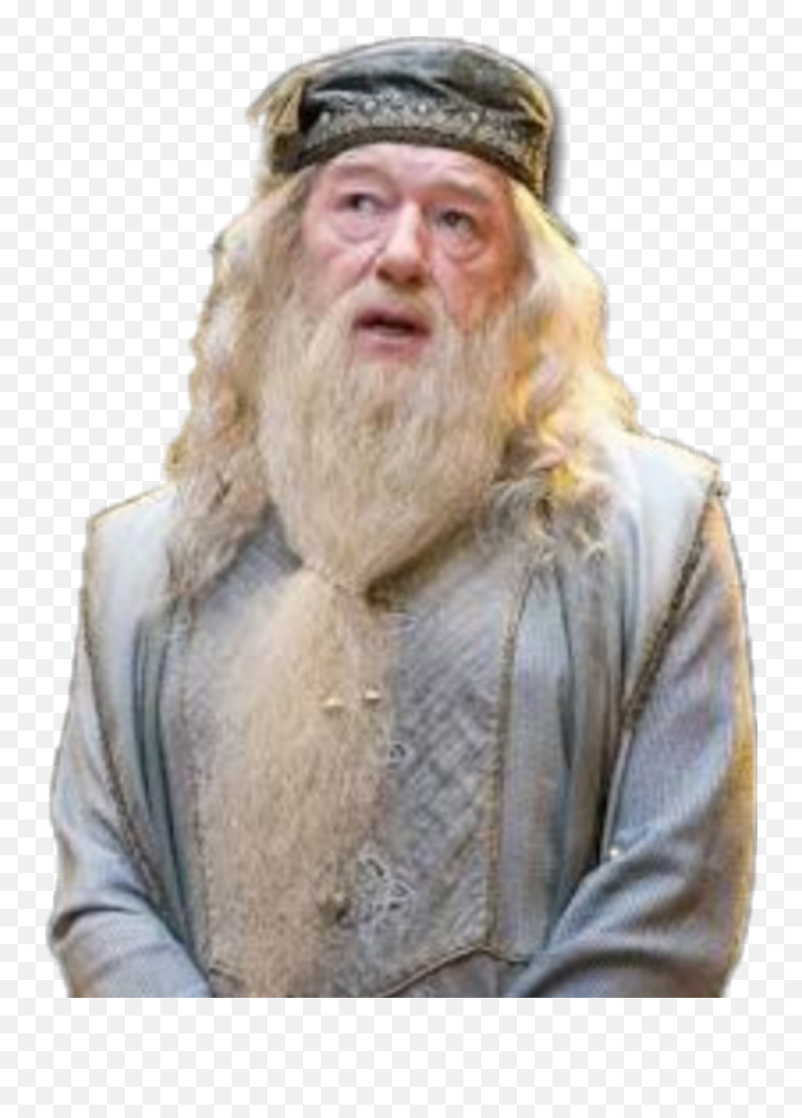 Harrypotter Hogwarts Gryffindor Dumbledore - Michael Gambon Albus Dumbledore Png,Dumbledore Png