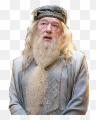 Harrypotter Hogwarts Gryffindor Dumbledore - Michael Gambon Albus Dumbledore Png,Dumbledore Png