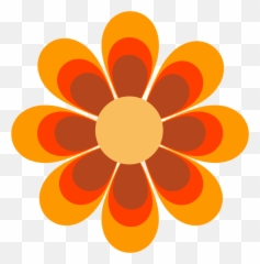 Shopify Stores That Launched - Decorative png