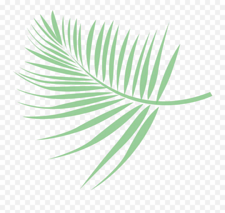 Free Leaf Palm 1201820 Png With Transparent Background - Folha De Palmeira Png,Palm Leaf Icon