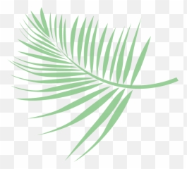 Free Leaf Palm 1201820 Png With Transparent Background - Folha De Palmeira Png