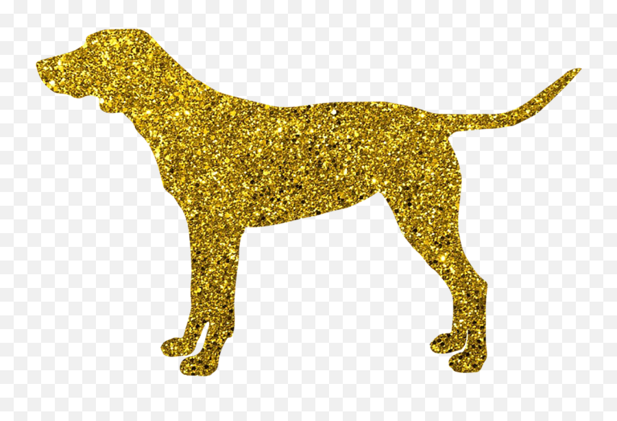 Download Free Photo Of Dog Golden Doggy Animal Puppy Png Labrador Retriever Icon