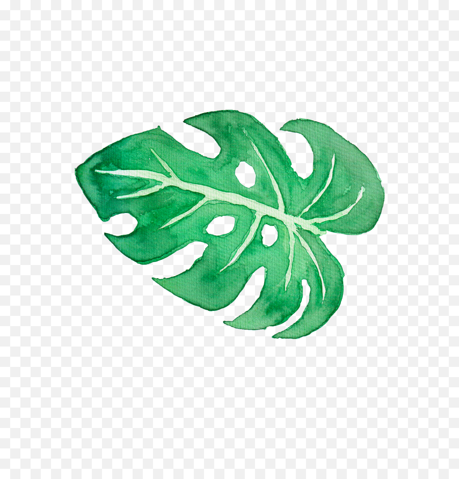 Behance Graphic Library - Watercolour Tropical Leaves Transparent Png,Tropical Leaf Png